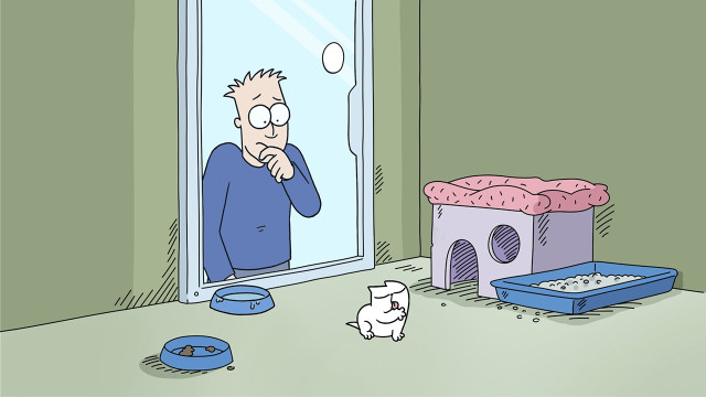 Chú Mèo Của Simon - Tập 31 1080p