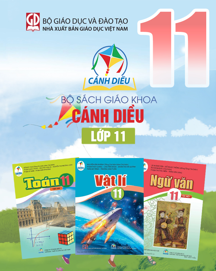 Lớp 11 - Bộ sách cánh diều